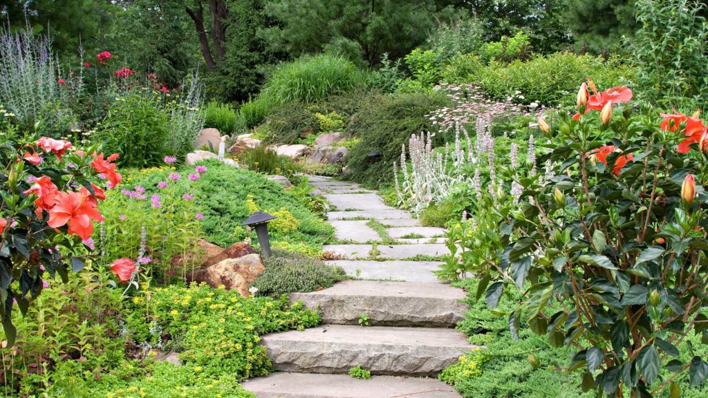 A beautiful, low-maintenance garden with a stone pathway, featuring vibrant flowers and lush greenery, perfect for creating a tenant-friendly garden.